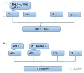 岩利分享 私募基金双GP模式——是新的潮流还是妙不可言